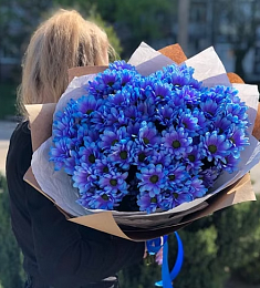 Букет из 13 синих кустовых хризантем