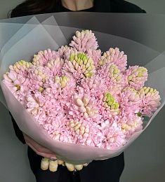 Букет из 25 розовых гиацинтов