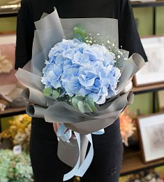 Букет "Ласточка" из гортензий