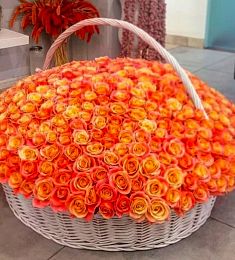 501 оранжевая роза в корзине